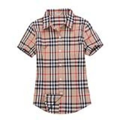 wholesale Burberry Women Shirts No. 419